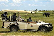 On A Game Drive