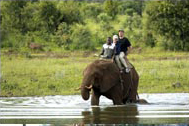 Elephant Back Safari