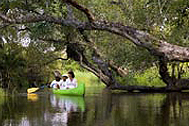 River Canoeing 