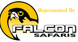 Falcon Safaris